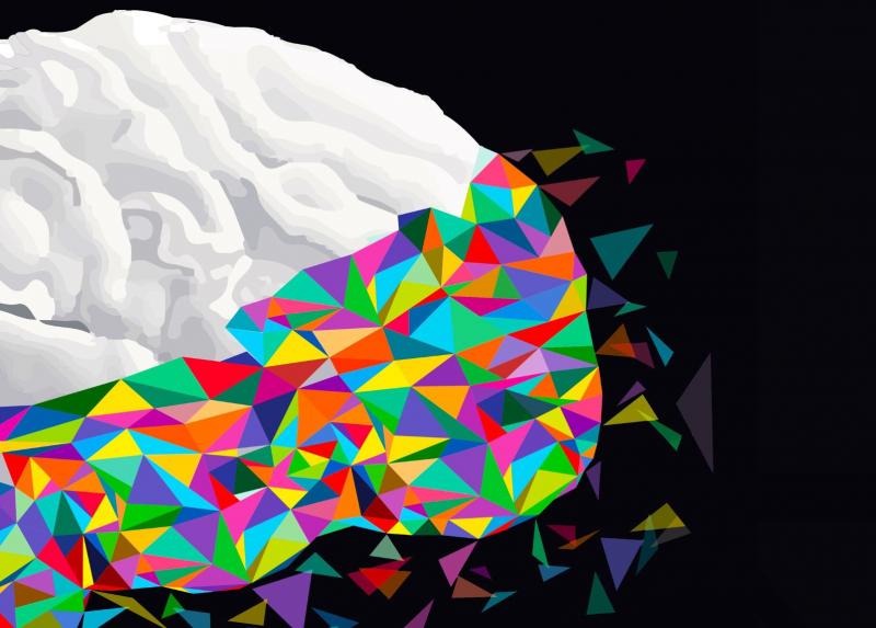 Immagine tratta dal programma di Cervell..a..mente 2024.