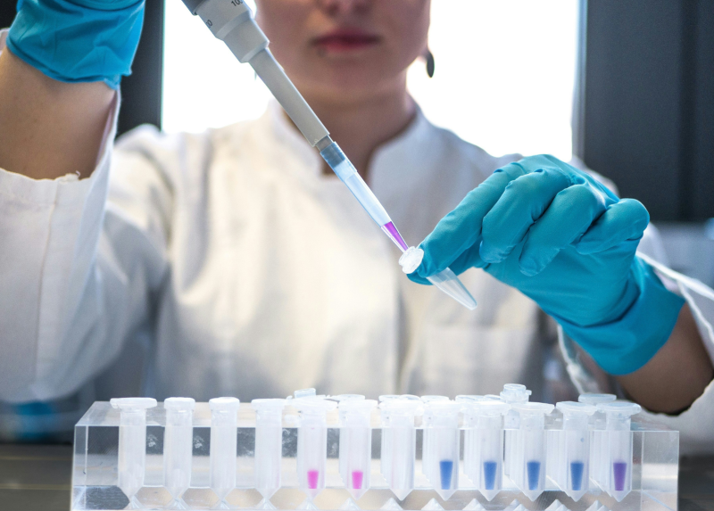 Immagine tratta da Unsplah, foto di Julia Koblitz