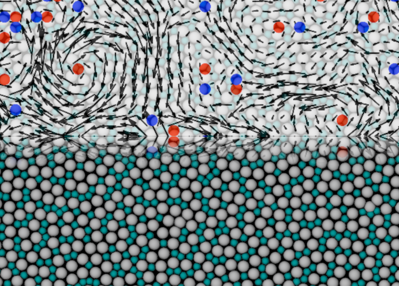 Nella parte superiore i modi normali di vibrazione con i difetti topologici +1 e -1 (vortici e anti-vortici). Nella parte inferiore il sistema sperimentale (un vetro 2D colloidale).