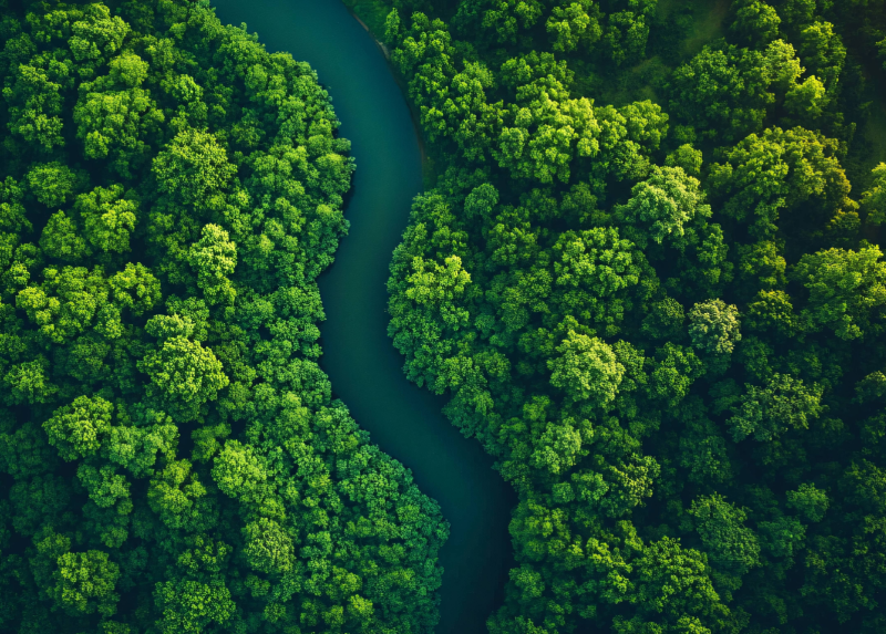 Immagine di repertorio. Credits Shutterstock