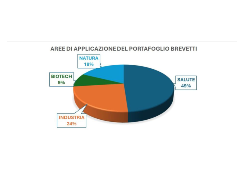 La composizione del Portafoglio brevetti di Ateneo