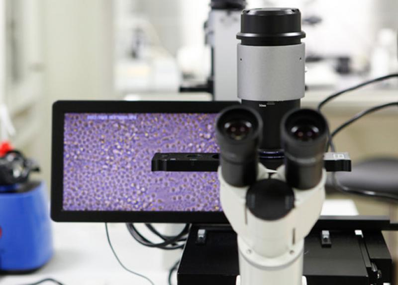 Un laboratorio di ricerca