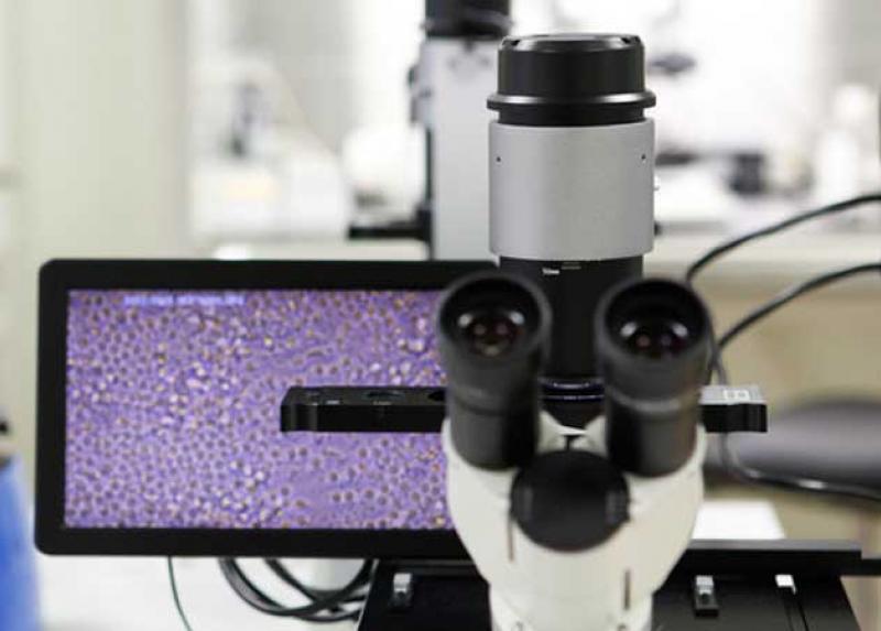 Analisi al microscopio