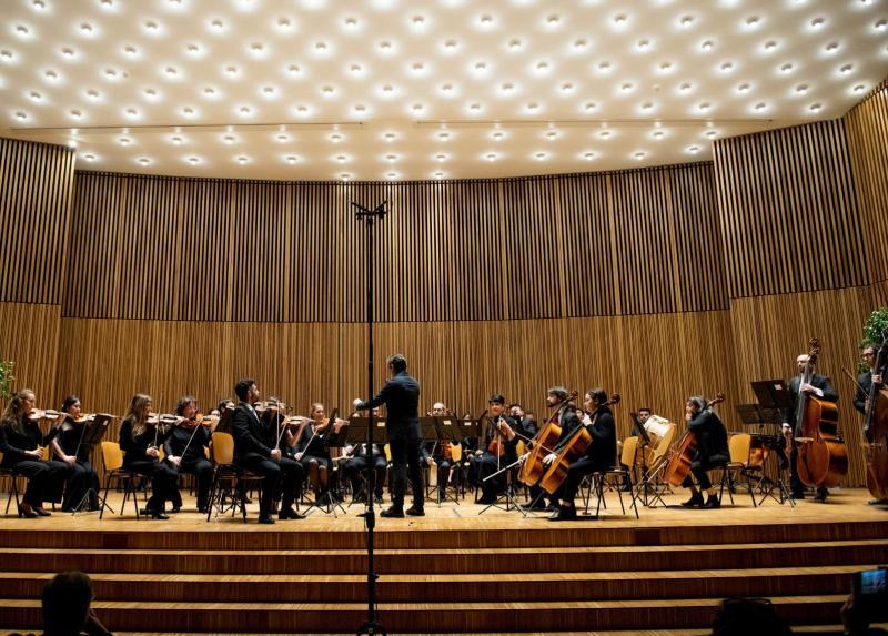 L'Orchestra d'Ateneo 
