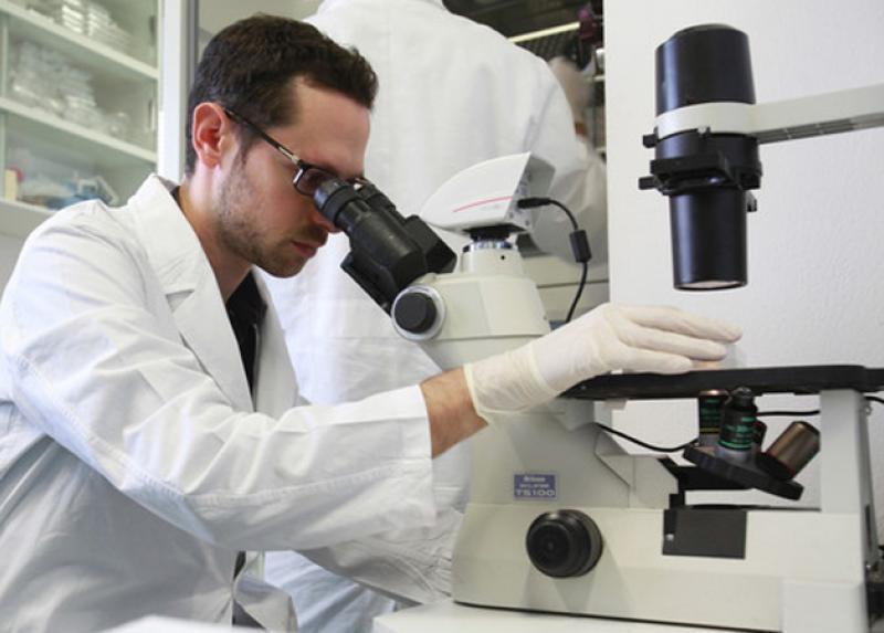 Attività in laboratorio