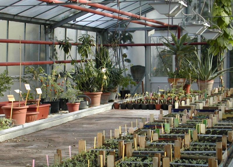 Le serre dell'Orto botanico di Toscolano Maderno