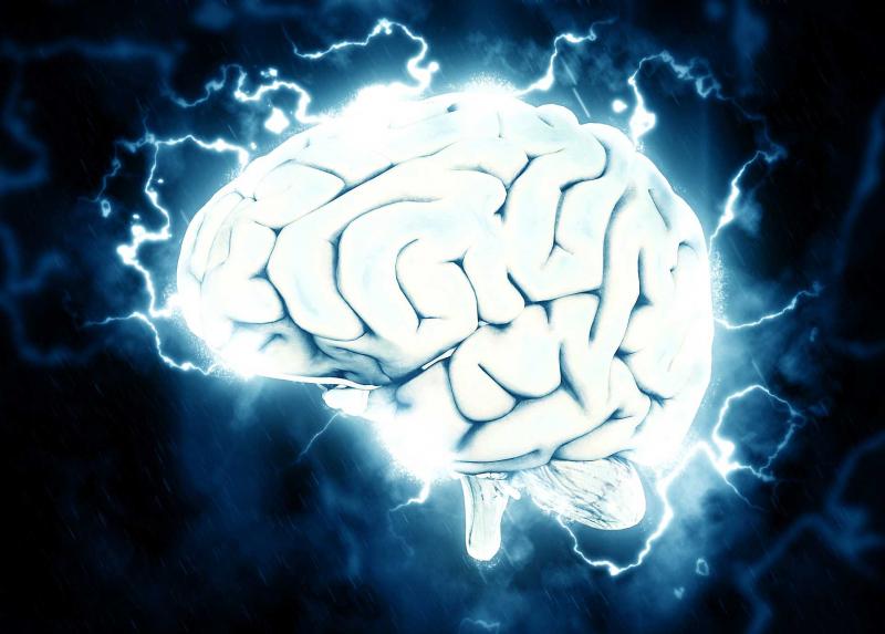 Cervello - Immagine tratta da Pixaby