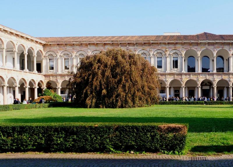 Università degli Studi di Milano