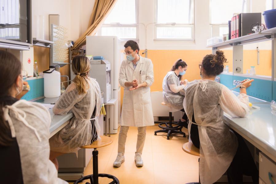 A lezione di DNA