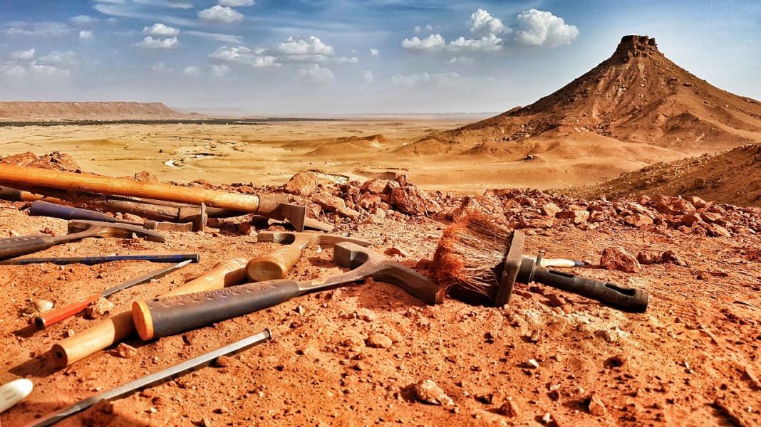 Vista del deserto di Kem Kem (Marocco sud-orientale) dal sito di scavo dello spinosauro. Foto: Diego Mattarelli