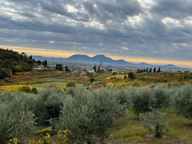 Tra terra e cielo - Foto di Eleonora Ciscato