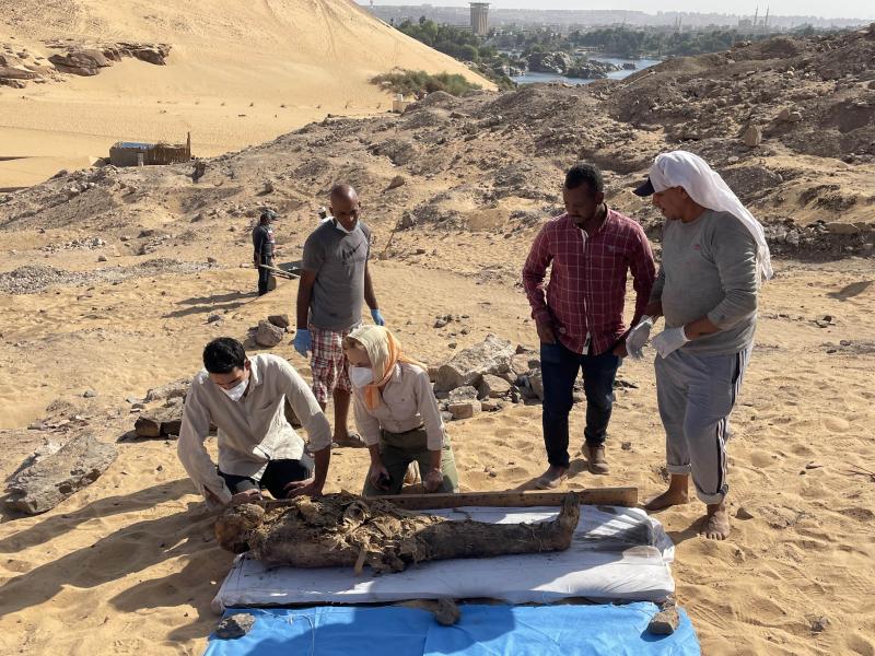 Fünf Personen stehen bzw. knieen um eine Mumie, die auf einem Tuch im Sand liegt und begutachten diese.