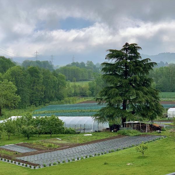Preparazione di un orto per la primavera - Foto di Marta Panzeri