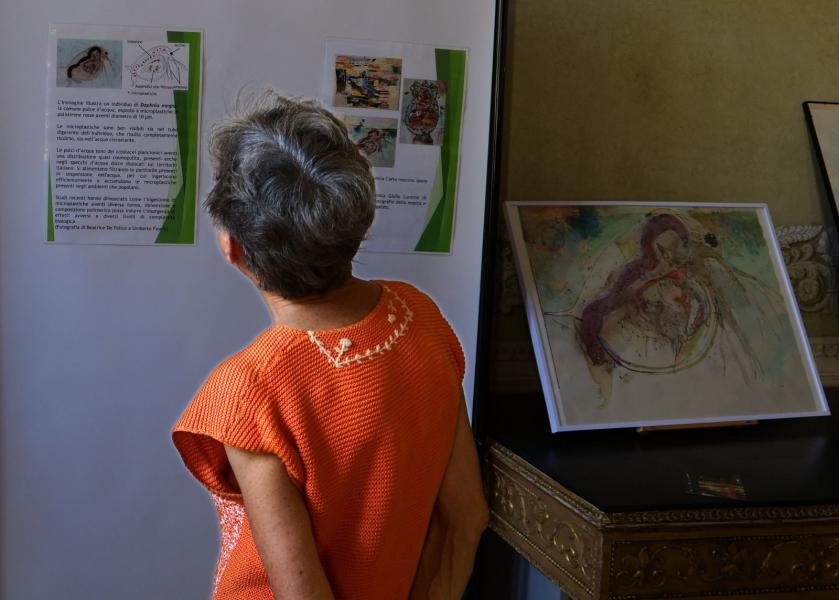 Pannelli della mostra ESPosti alla plastica.