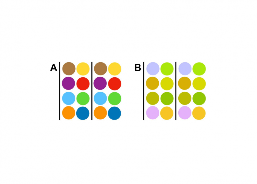 Una delle immagini del gioco da tavolo ColorFit per riconoscere il daltonismo a cui sta lavorando il progetto Game4CED 