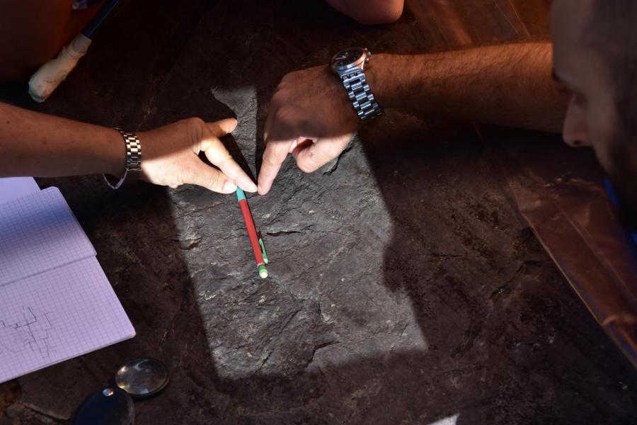 Attività di studio e ricerca sulle rocce della Valcamonica - Foto: Centro Camuno di Studi Preistorici