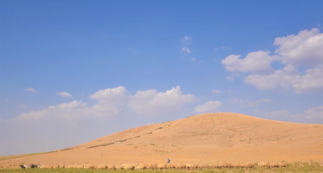 Il sito di Helawa; il pascolamento delle greggi è uno dei fattori che minano la conservazione del deposito archeologico