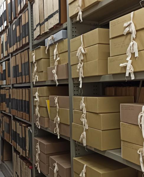 Documenti storici dell'Università Statale