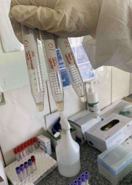 In laboratorio