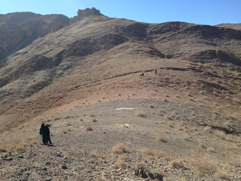 Ricercatori sul campo in Iran centrale, impegnati nella raccolta dei fossili utilizzati nello  studio.