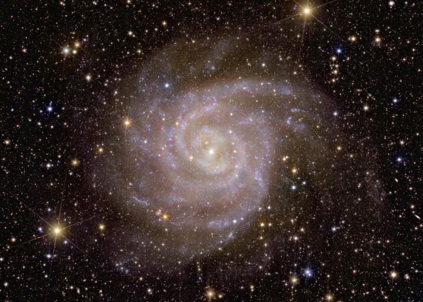 Galassia a spirale IC 342. Crediti immagine: ESA/Euclid/Euclid Consortium/NASA, image processing by J.-C. Cuillandre (CEA Paris-Saclay), G. Anselmi; CC BY-SA 3.0 IGO.