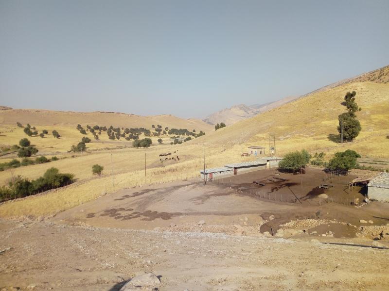 L'area oggetto della ricerca - Credits Eleonora Regattieri