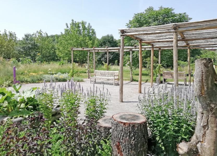 Gli spazi del restorative garden progettato dall'Università Statale