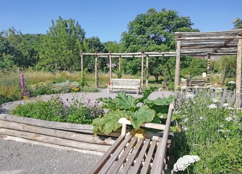Gli spazi del restorative garden progettato dall'Università Statale