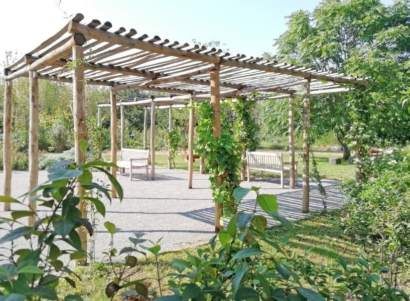 Gli spazi del restorative garden progettato dall'Università Statale