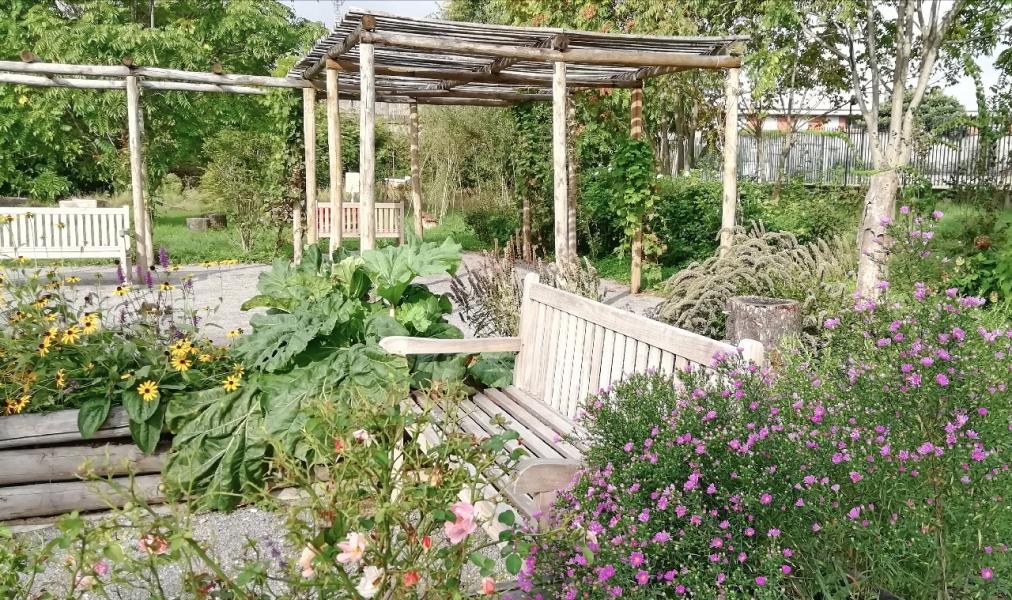 Gli spazi del restorative garden progettato dall'Università Statale