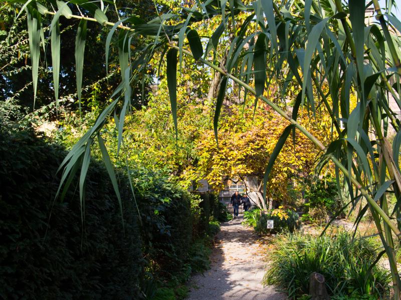 Orto Botanico di Brera