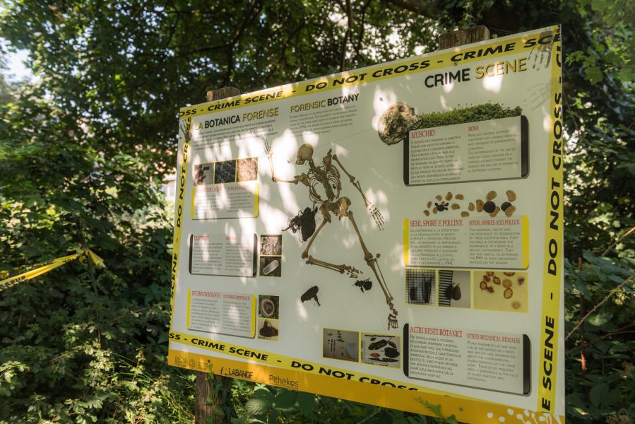 Istruzioni di Botanica forense