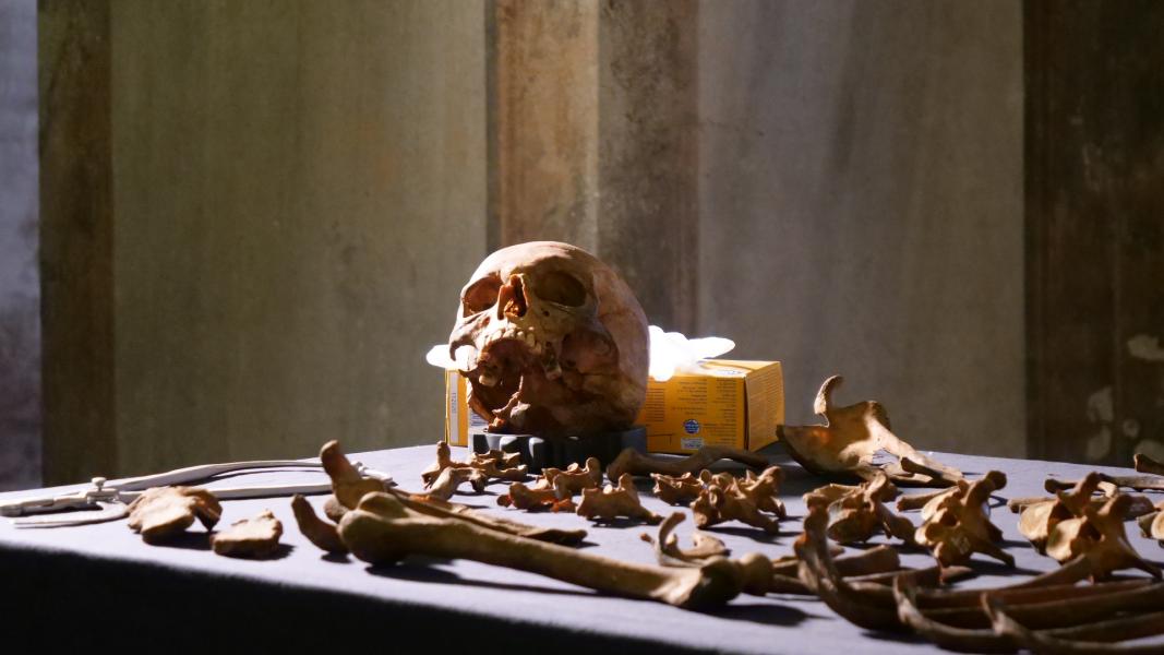 Il percorso museale allestito nel Sepolcreto della Ca’ Granda