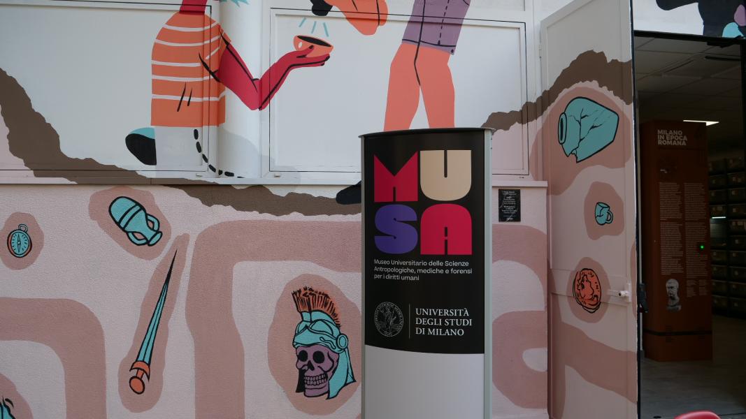The sections of the new the University Museum of Anthropological, Medical, and Forensic Sciences for Human Rights 