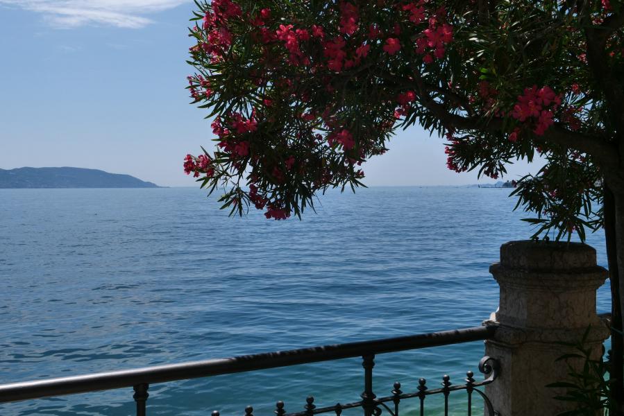La vista sul lago da Palazzo Feltrinelli a Gargnano, sede dei dei Corsi Internazionali di Lingua e Cultura Italiana