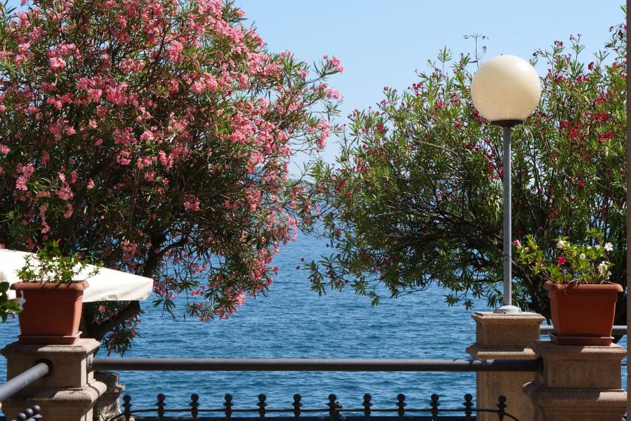 La vista sul lago da Palazzo Feltrinelli a Gargnano, sede dei dei Corsi Internazionali di Lingua e Cultura Italiana