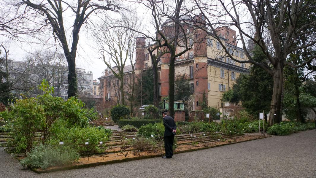 Orto Botanico di Brera