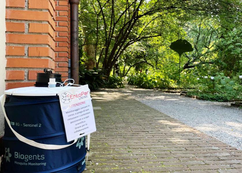 Progetto Zanzare _ Orto Brera 
