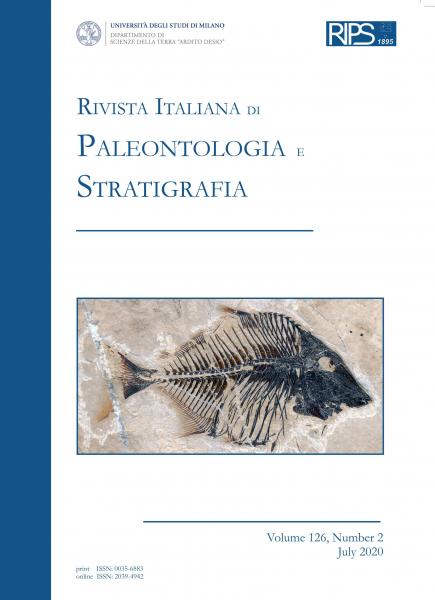 La pubblicazione Milano University Press "Rips"