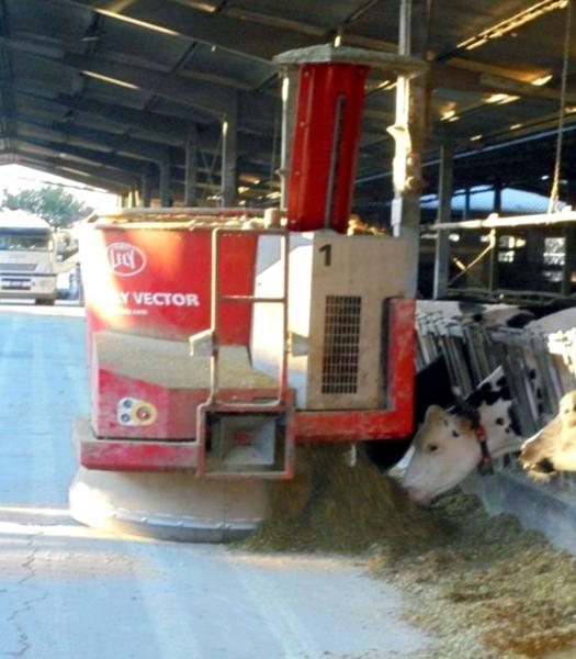 Sistemi automatici di alimentazione applicati all’azienda agricola didattica di Landriano (PV)