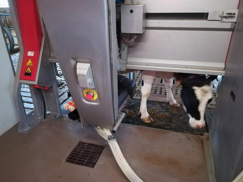 Robot di mungitura applicati all’azienda agricola didattica di Landriano (PV) 