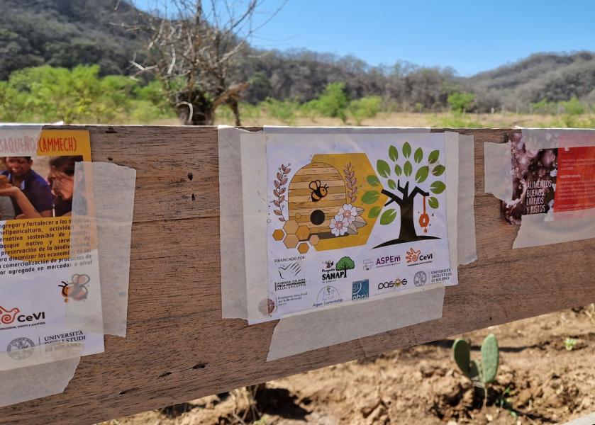Immagine concessa dal dipartimento di Scienze per gli Alimenti, la nutrizione e l’ambiente dell’Università degli Studi di Milano sul progetto SANAPI.