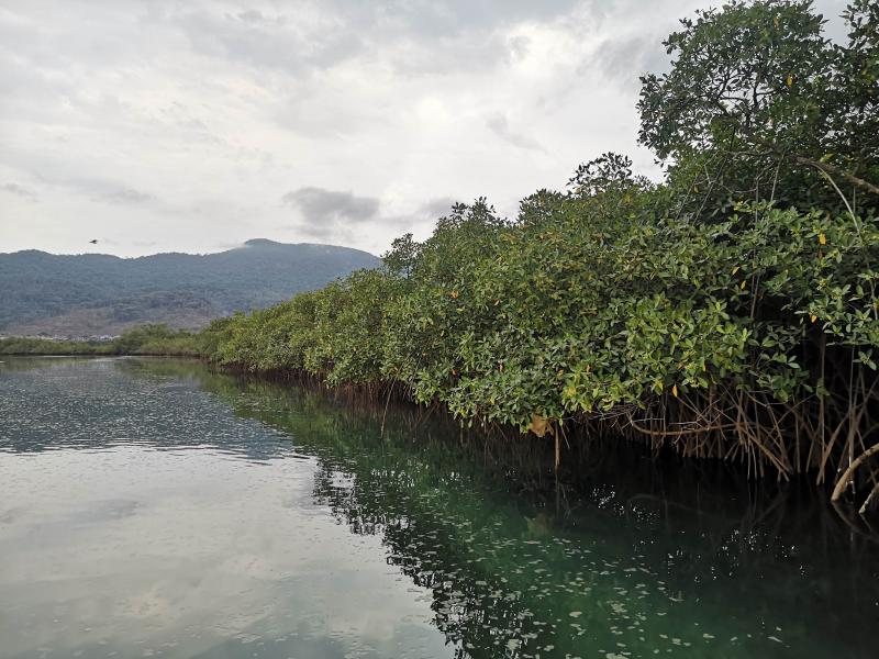 Un'immagine della Sierra Leone - Credit foto CUAMM