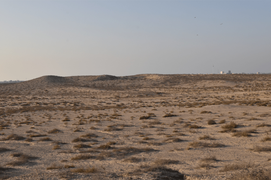 Panorama dell’isola di Aqab, dove probabilmente era localizzato il porto di Omana; i rilievi sullo sfondo sono siti archeologici pluristratificati