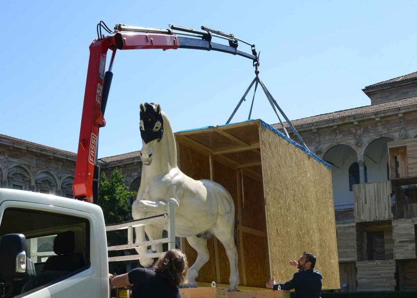 Cavallo unicorno narciso_arrivo 2