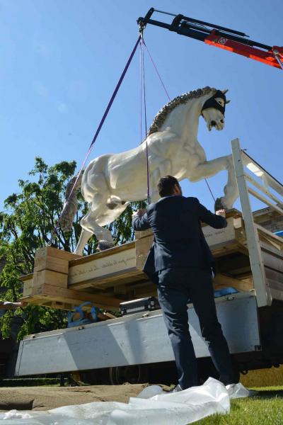 Cavallo unicorno narciso_arrivo 3