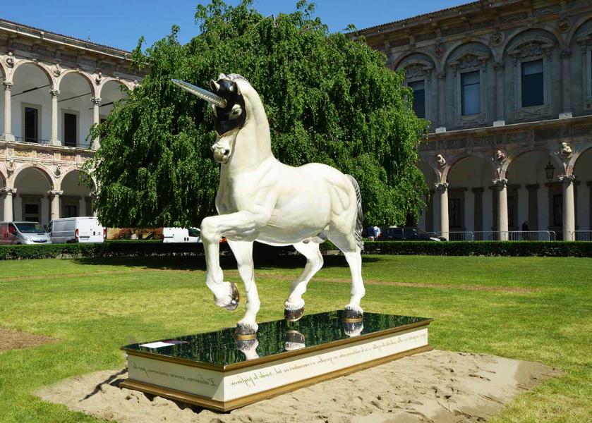 Cavallo unicorno narciso_arrivo 6