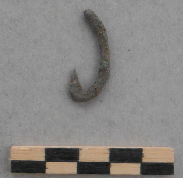 Amo in bronzo rinvenuto sul sito di San Michele di Valestra - Credit Foto: Ministero della Cultura