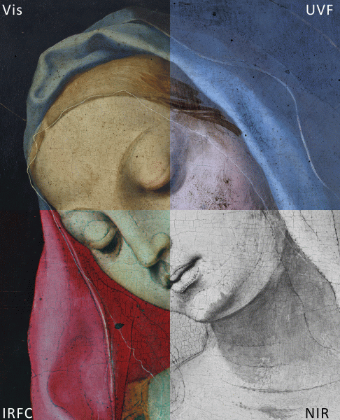 Un dettaglio del viso della Madonna vista attraverso il visualizzatore interattivo del laboratorio Diart -  Credits Marco Gargano, Emanuela Grifoni, Stefano Caronni