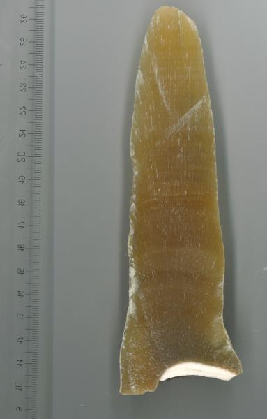 L'area oggetto della ricerca - Credits Eleonora Regattieri